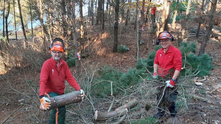 Two rangers in red holding branches and twigs from felled pine trees. There's a pile of branches on the floor and a pine forest in the background.